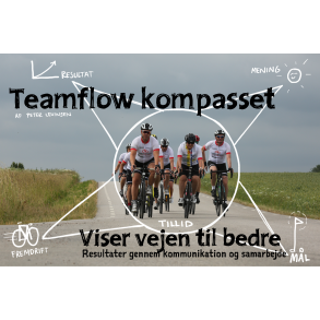 Teamudvikling - teori og værktøjer