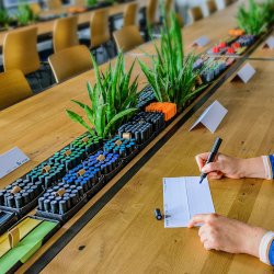 Bordkort: Namnbrickor, 100 st.