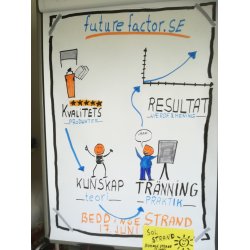 Niveau 1: Grafisk Facilitering for Begyndere  11. december 2025